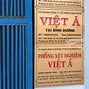 Cdc Ninh Bình Việt Á 1