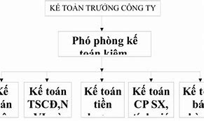 Công Ty Cp Vải Sợi May Mặc Miền Bắc