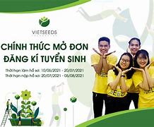 Học Bổng Vietseeds 2022 Là Gì ؟ Của Mỹ Thuật