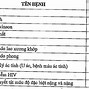 Sức Khỏe Loại 4 Có Đi Nghĩa Vụ Quân Sự 2025 Không